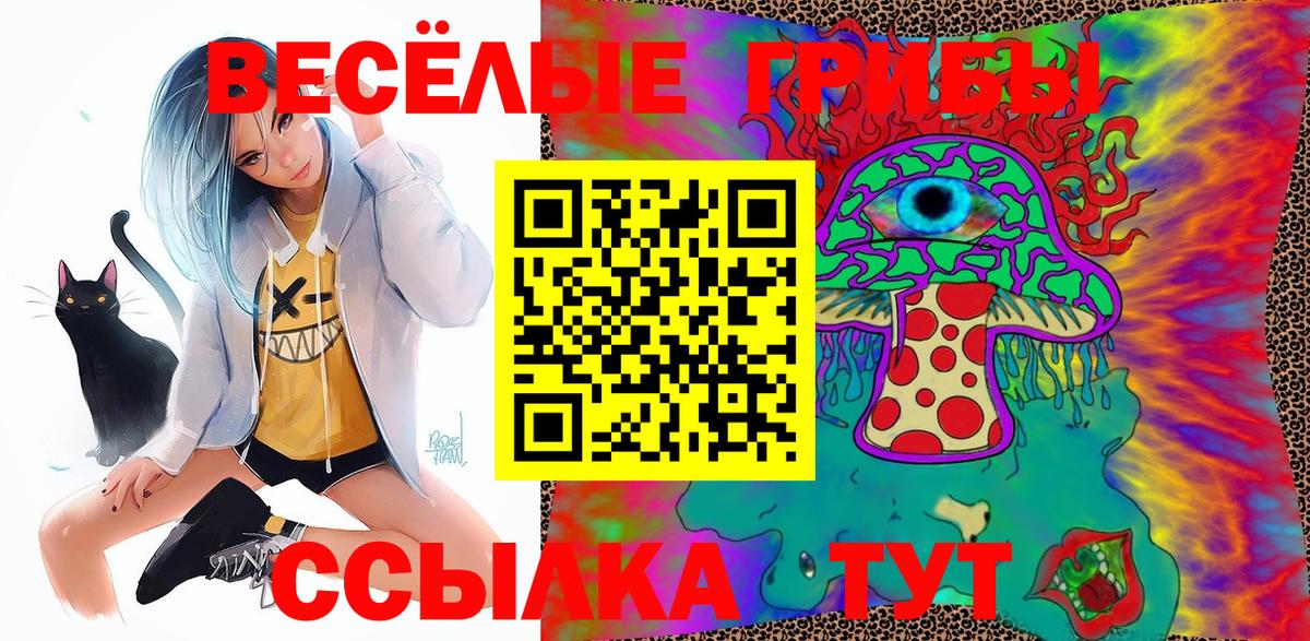 Галлюциногенные грибы Psilocybine cubensis  хочу наркоту  Псилоцибиновые грибы MAGIC MUSHROOMS  Канаш  Вход с VPN 